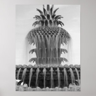 Lugnande anananas poster