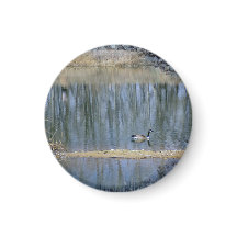 Lugnande Reflektioner