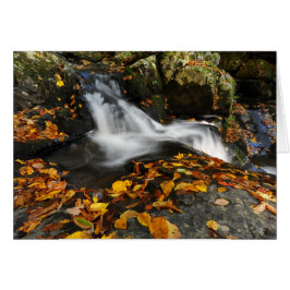 Lugnande Vatten Hälsningskort