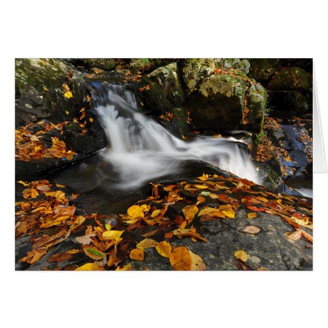 Lugnande Vatten Hälsningskort (Framsidan Horizontal)