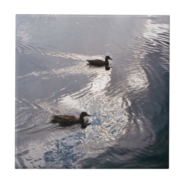 Lugnankor för stormen kakelplatta (Framsidan)