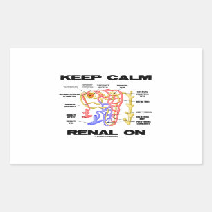 Lugnat Renal för behålla på (njure Nephron) Rektangulärt Klistermärke