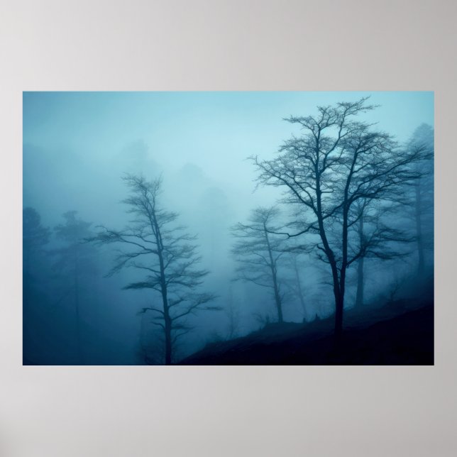 Lugnen Forest Landcape Meditation Serene Poster (Framsidan)