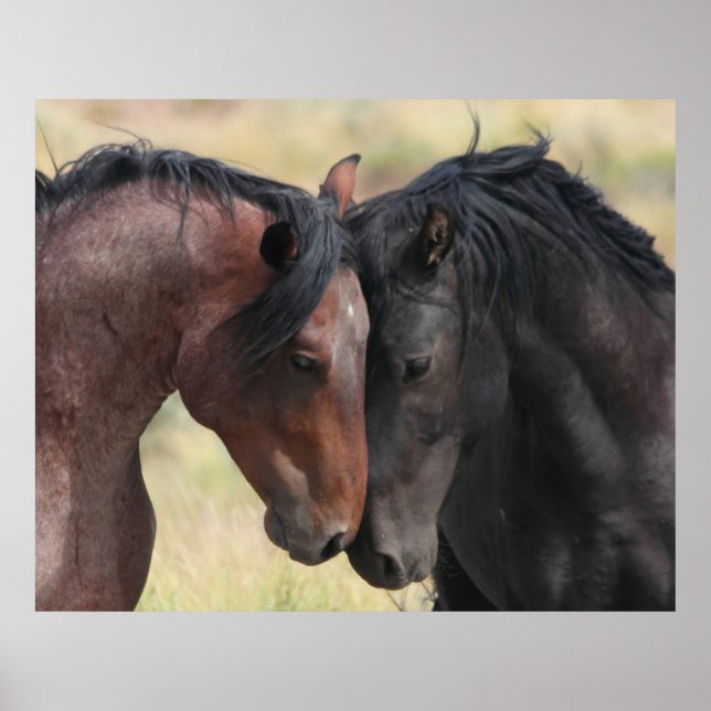 Lugnen Poster (Framsidan)