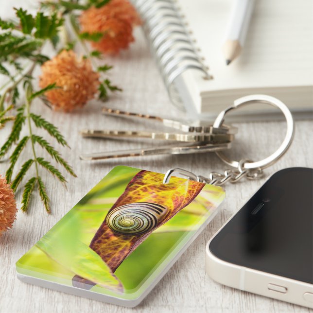 lugnens bilaga (Högra Framsidan)