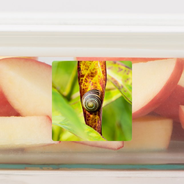 lugnens bilaga klistermärke (Påsatt)