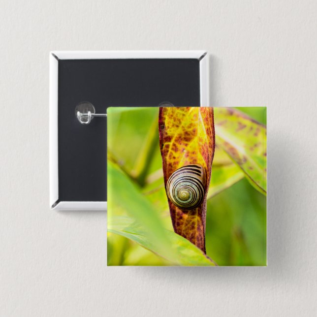 lugnens bilaga knapp (Framsida & baksida)