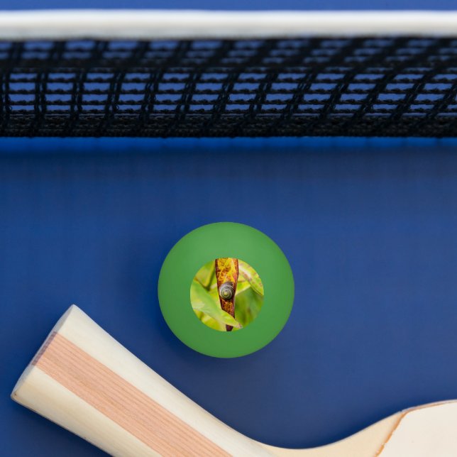 lugnens bilaga pingisboll (Tabell)