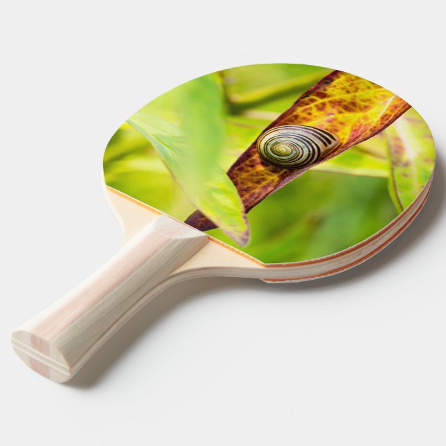 lugnens bilaga pingisracket (Ryggvinkel)