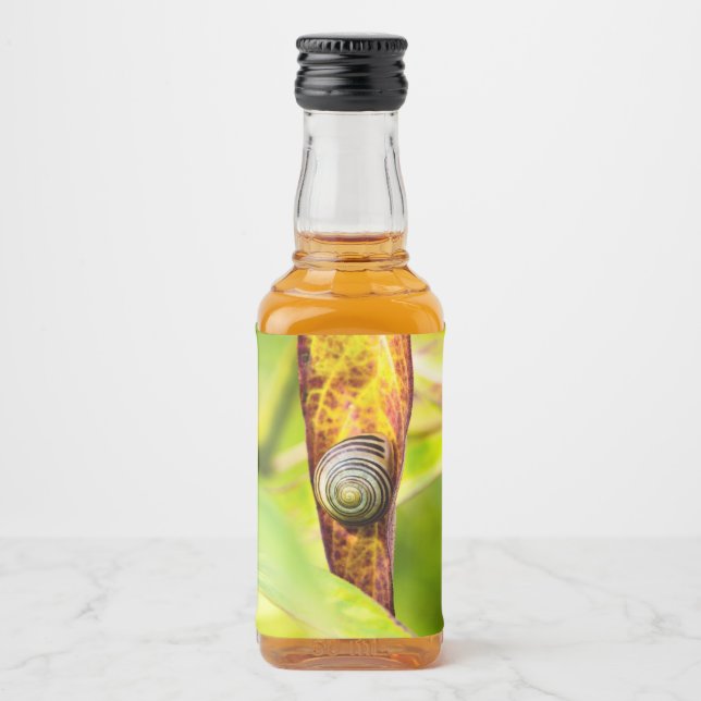 lugnens bilaga spritflaskor etikett (Framsida)