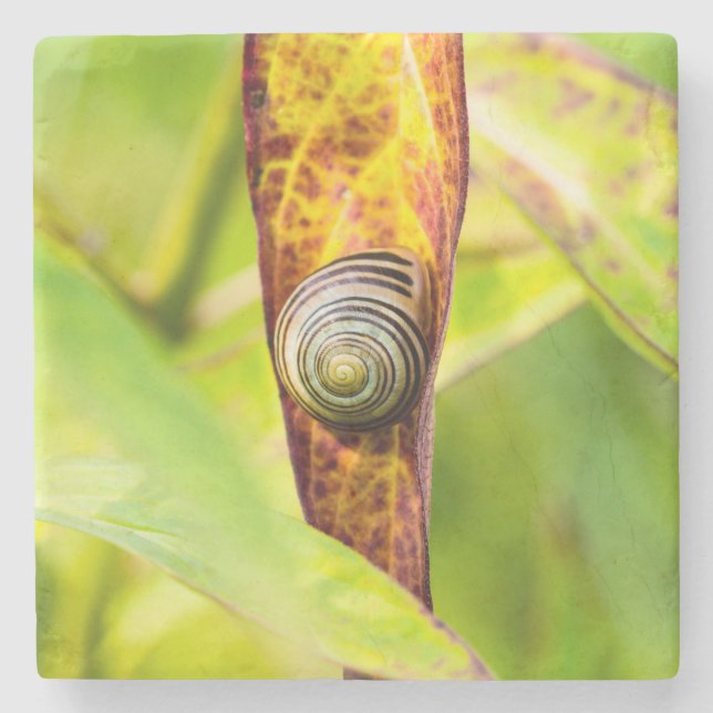 lugnens bilaga stenunderlägg (Framsidan)