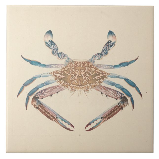 Luigi Balugani - Portunua Pelagicus - Blue Crab Kakelplatta (Framsidan)