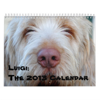 Luigi:  Kalendern 2013 Kalender