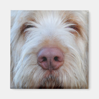 Luigis Booper Fridge Magnet