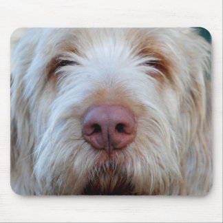 Luigis Booper Mousepad Musmatta