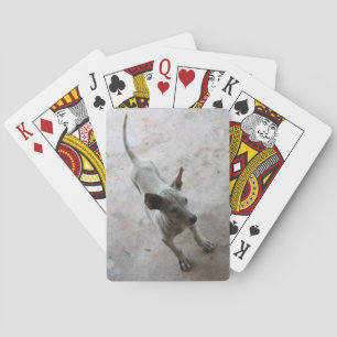 Luk Maa ... Thai Soi Puppy Hund Casinokort