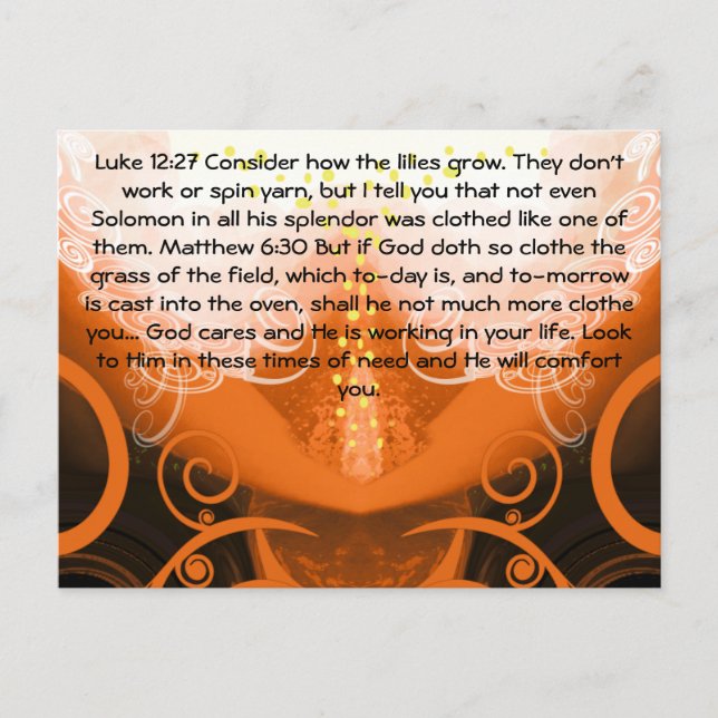 Lukas 12:27 Betrakta liljorna, hur de växer. Vykort (Framsida)