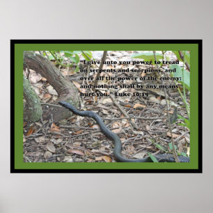 Luke 10:19 Poster skript (version B)