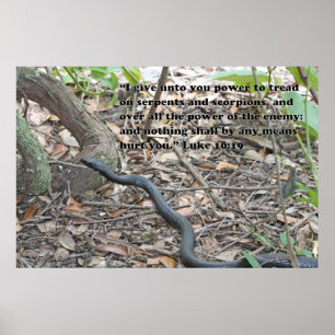 Luke 10:19 Skript Poster