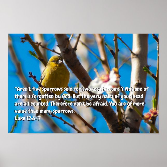 Luke 12:6-7 poster (Framsidan)