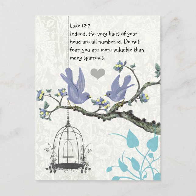 Luke 12:7 du är mer värdefull än många sparvar vykort (Framsida)