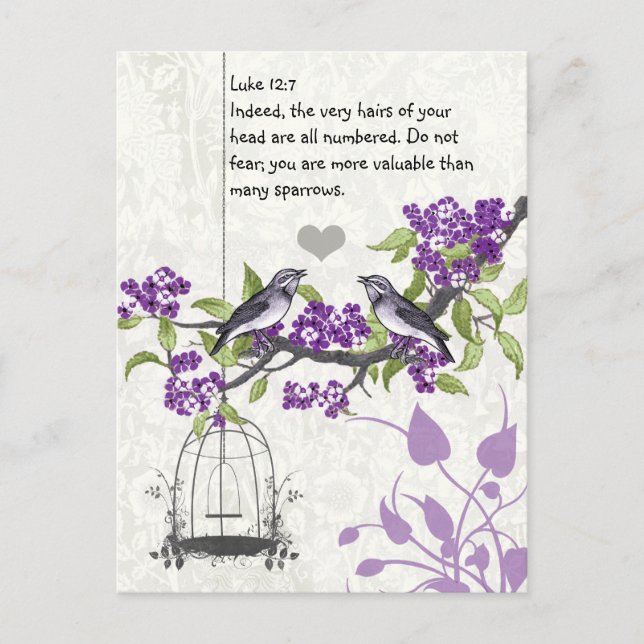 Luke 12:7 du är mer värdefull än många sparvar vykort (Framsida)