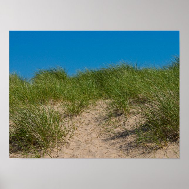 Lukt och havre poster (Framsidan)