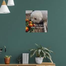 Lukta på blommorna poster