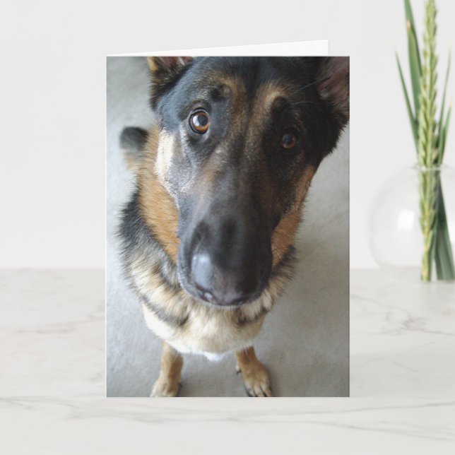 Luktar jag tårta? Önskemål... Kort (Framsida)