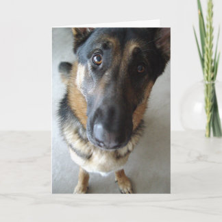 Luktar jag tårta? Önskemål... Kort