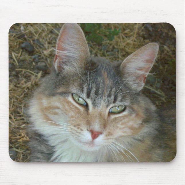 Lulu - dosering vid noon musmatta (Framsidan)