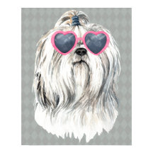 Lulu Lhasa
