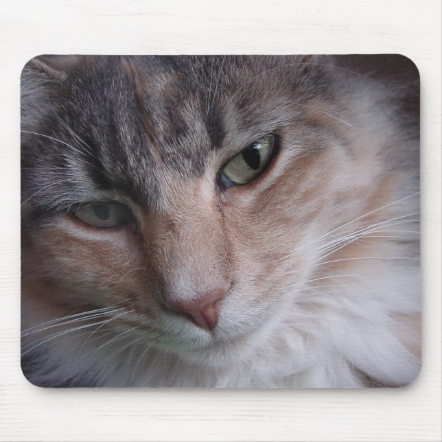 Lulu-nära Musmatta (Framsidan)