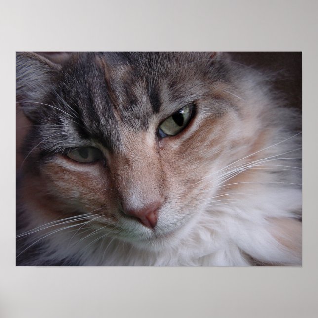 Lulu-nära Poster (Framsidan)