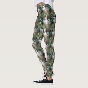 Lulu, Ragdoll Cat, balar Leggings