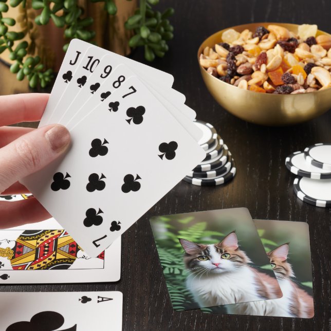Lulu Ragdoll-katt, häckburk för uppspelningskort Casinokort (På plats)