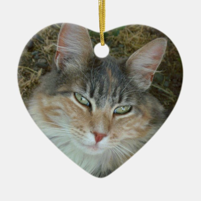 Lulu the Cat Julgransprydnad Keramik (Framsidan)