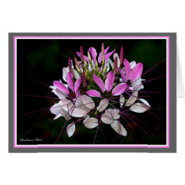 Lulus trädgård hälsningskort