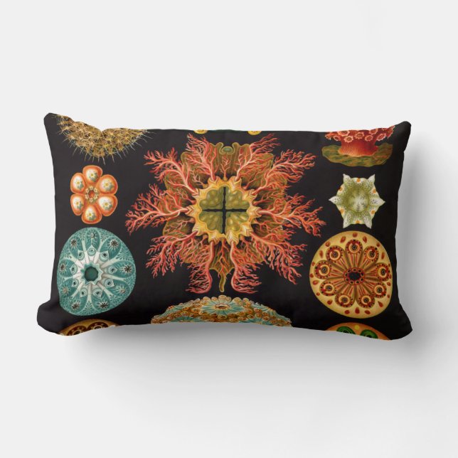 Lumbalfyllning av havsstrupe lumbarkudde (Framsida)