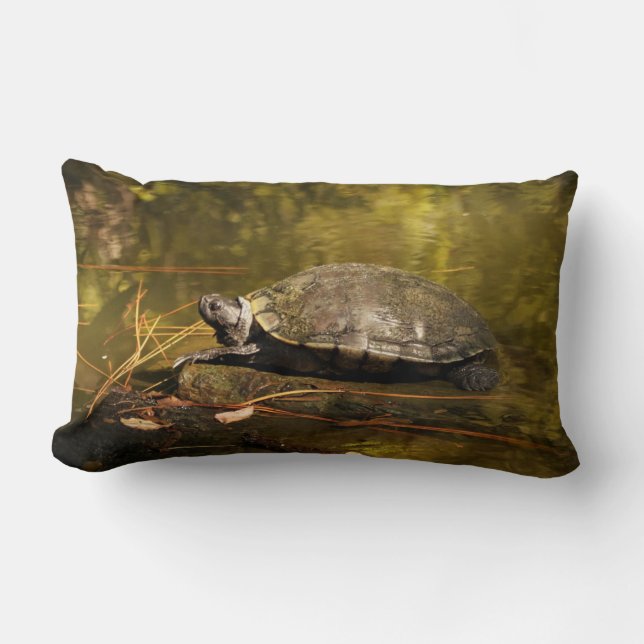 Lumbar Pillow - Turtle on Log in Pond Lumbarkudde (Framsida)