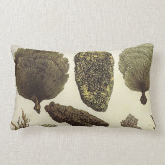 Lumbaren för liv för havet för designen för lumbarkudde