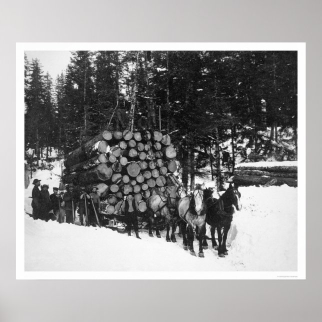 Lumber Hauling Seward, Alaska 1919 Poster (Framsidan)