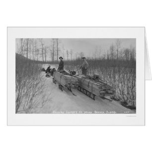 Lumber Hund Seward, Alaska 1917 Hälsningskort