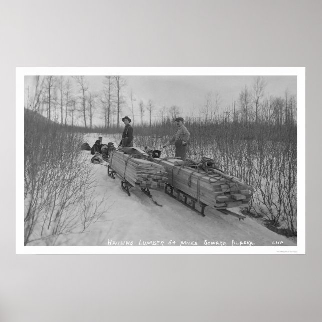 Lumber Hund Seward, Alaska 1917 Poster (Framsidan)