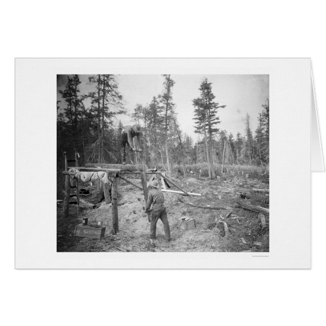 Lumberjacks i Alaska 1916 Hälsningskort (Framsidan Horizontal)