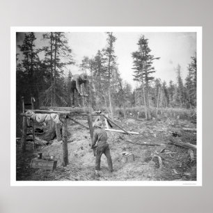 Lumberjacks i Alaska 1916 Poster