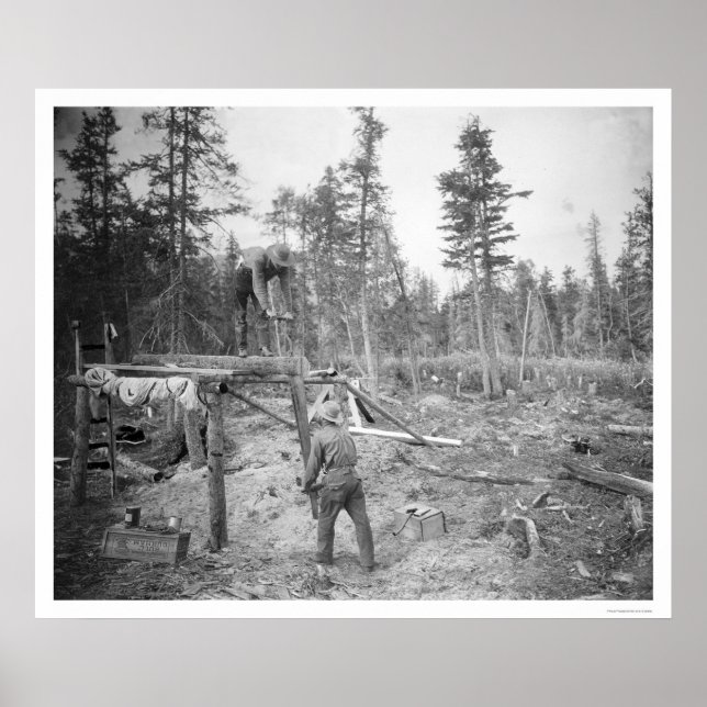 Lumberjacks i Alaska 1916 Poster (Framsidan)