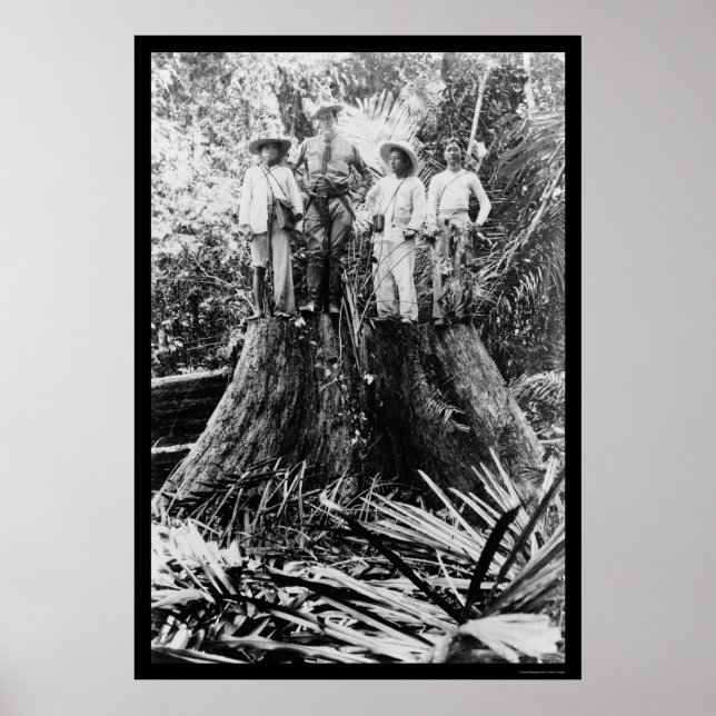 Lumberjacks in Mindoro Region, Filippinerna 1906 Poster (Framsidan)