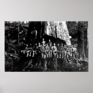 LUMBERJACKS in UNDERCUT - 1884 Poster