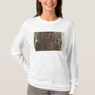 Lumberjacksklipp besegrar ett redwoodträdträd tee